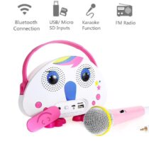 Wireless-Karaoke-Machine-Bluetooth-Stereo-Speaker-Microphone-Portable-Outdoor-for-Kid-with-TF-Card-FM-Radio